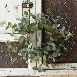 Eucalyptus Candle Ring - Garden Eucalyptus - 6.5in