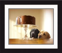 Framed Picture - Forbidden Treasure - 23x18 - Ron Schmidt