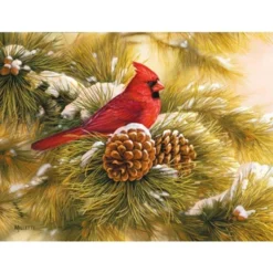 Lang Boxed Christmas Cards - December Dawn Cardinal - Rosemary Millette