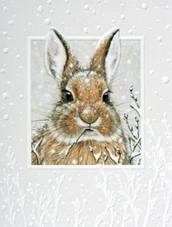 Petite Boxed Christmas Cards - "Cool Cotton Tail"