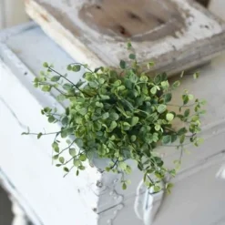 Seraph Vine Half Sphere Bush - 7 Inch