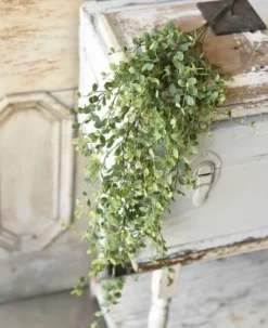 Seraph Vine Hanging Bush With Stem - 34 Inch