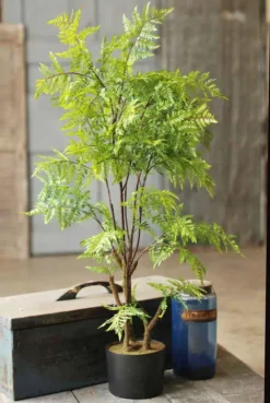 Tree Fern - Hillside Grove - 33 Inch